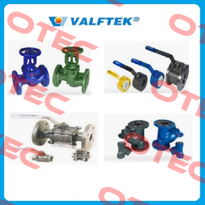 3" MONITOR MOUNTING FLANGE PN16 Valftek