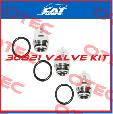 30821 Cat Pumps
