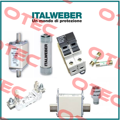 7790607  Italweber