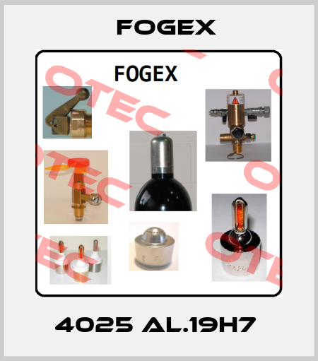 4025 AL.19H7  Fogex