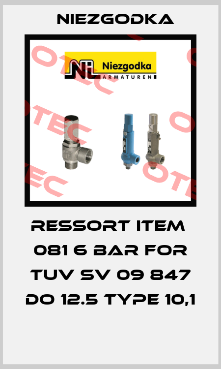 RESSORT item  081 6 bar for TUV SV 09 847 do 12.5 type 10,1  Niezgodka