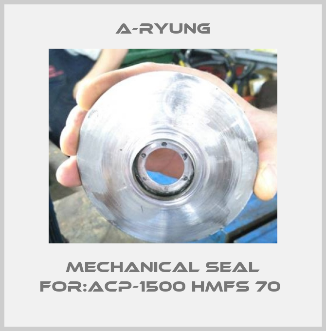 Mechanical Seal For:ACP-1500 HMFS 70 -big