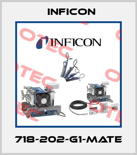 718-202-G1-MATE Inficon