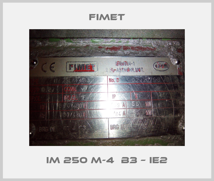IM 250 M-4  B3 – IE2-big