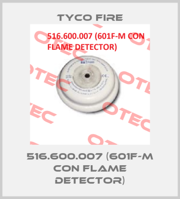 516.600.007 (601F-M CON FLAME DETECTOR)-big