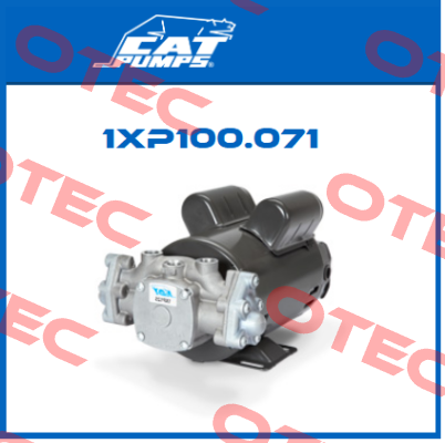 1XP100.071 Cat Pumps