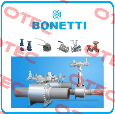 70173  Cesare Bonetti