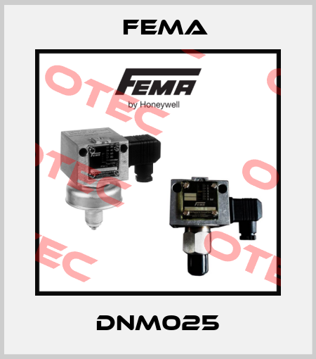 DNM025 FEMA
