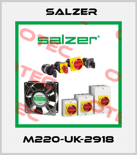 M220-UK-2918 Salzer