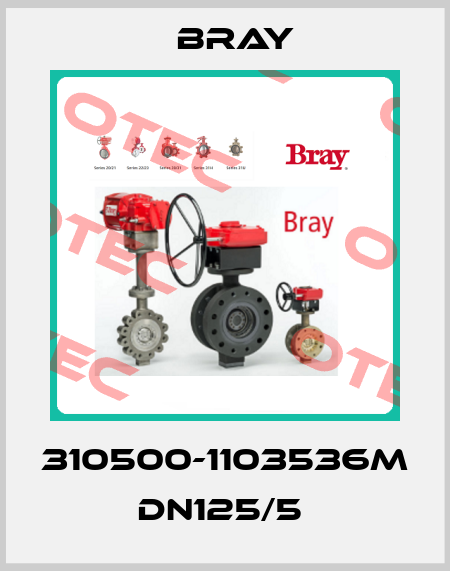 310500-1103536M   DN125/5  Bray
