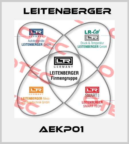 AEKP01   Leitenberger