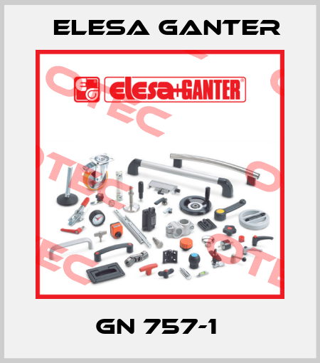 GN 757-1  Elesa Ganter