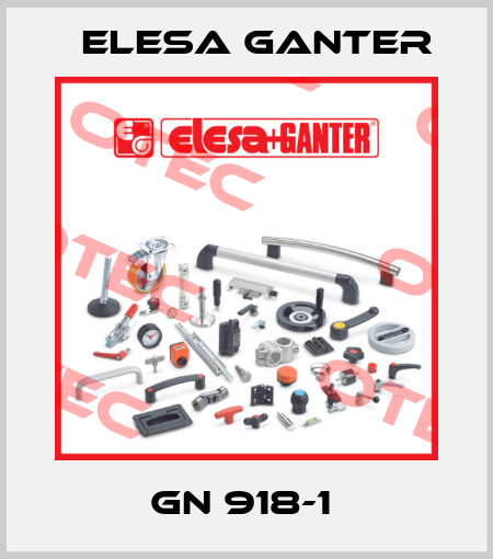 GN 918-1  Elesa Ganter