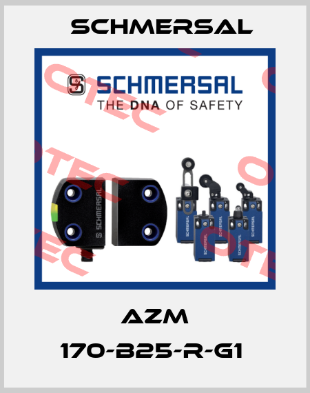 AZM 170-B25-R-G1  Schmersal