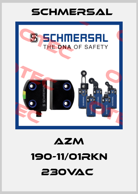 AZM 190-11/01RKN 230VAC  Schmersal
