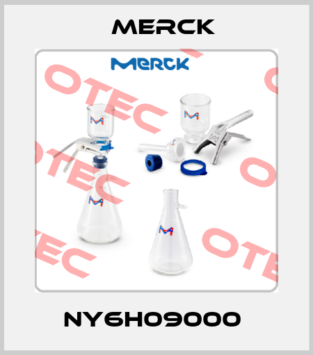 NY6H09000  Merck