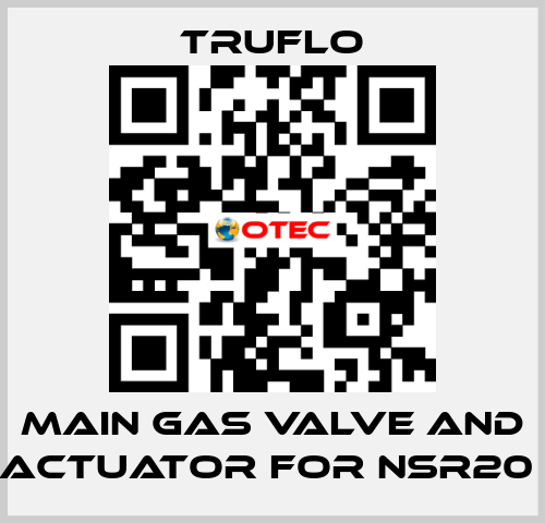 Main Gas Valve and Actuator For NSR20  TRUFLO