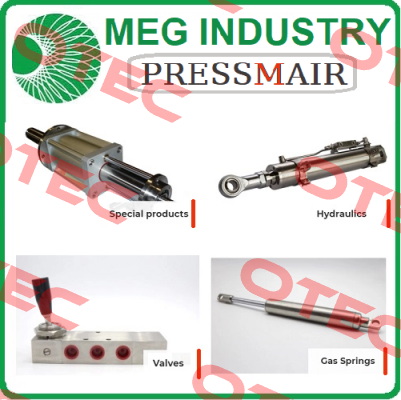  seals kit for hydraulic rotating cylinder LP 4537 170  Meg Industry (Pressmair)