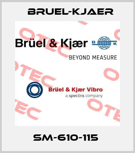 SM-610-115  Bruel-Kjaer