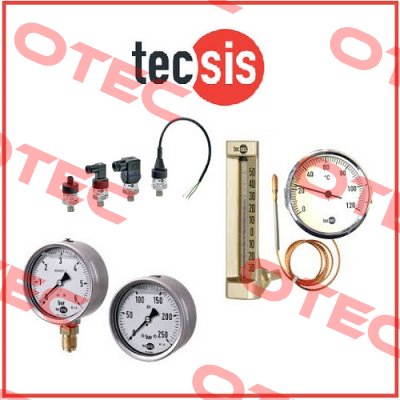 P3325B082101  Tecsis (WIKA Group)