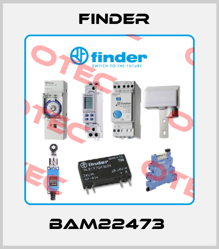 BAM22473  Finder