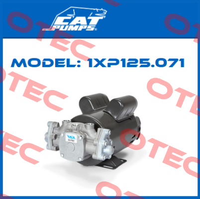1XP125.071 Cat Pumps