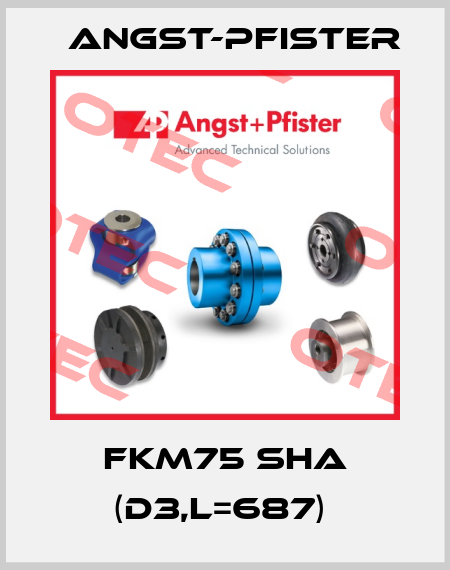 FKM75 ShA (d3,L=687)  Angst-Pfister