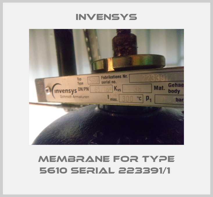 Membrane for Type 5610 Serial 223391/1 -big