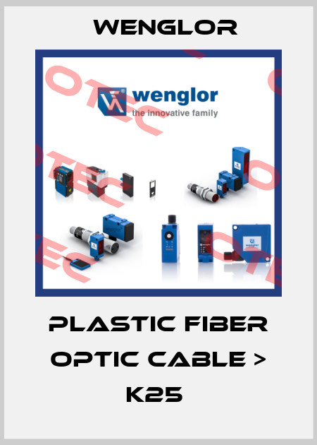 Plastic Fiber Optic Cable > K25  Wenglor