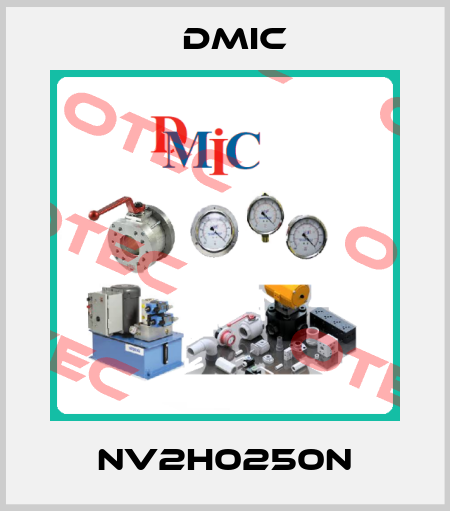 NV2H0250N DMIC