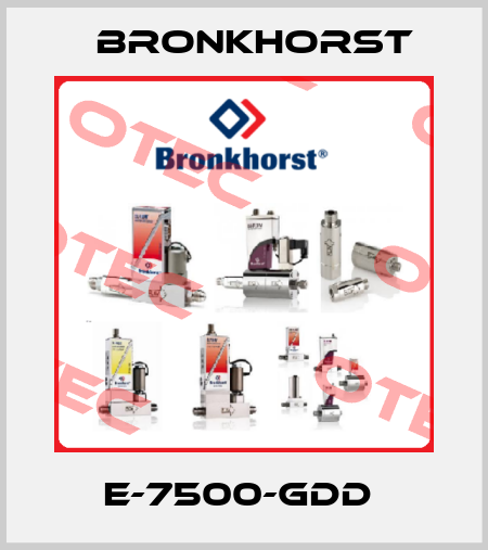 E-7500-GDD  Bronkhorst