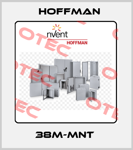 38M-MNT  Hoffman