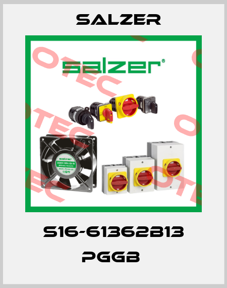 S16-61362B13 PGGB  Salzer