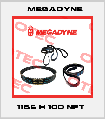 1165 H 100 NFT  Megadyne