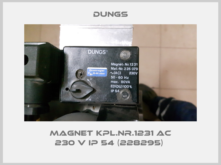 Magnet kpl.Nr.1231 AC 230 V IP 54 (228295) -big