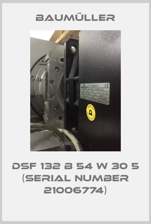 DSF 132 B 54 W 30 5 (serial number 21006774)-big