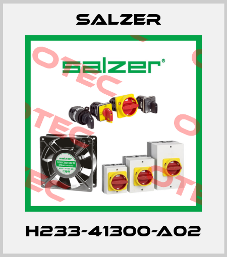 H233-41300-A02 Salzer