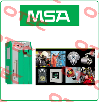 10088099   Msa