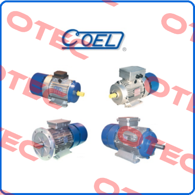 SC132FL1  Coel