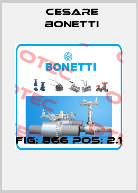 Fig: 866 Pos: 2.1  Cesare Bonetti