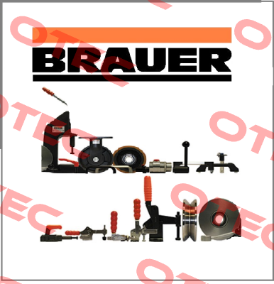 HQZF/SFT200/90TB  Brauer