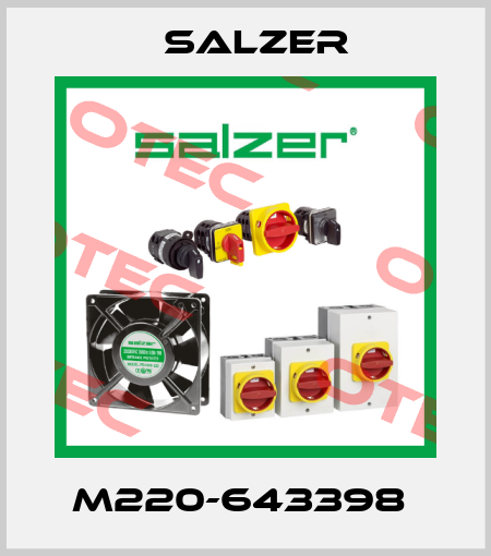 M220-643398  Salzer