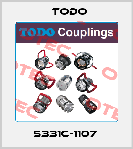 5331C-1107  Todo