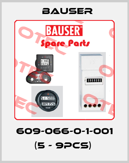 609-066-0-1-001 (5 - 9pcs)  Bauser