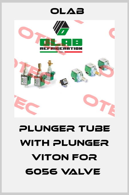 Plunger tube with plunger Viton for 6056 valve  Olab
