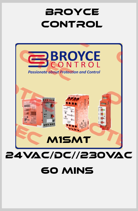 M1SMT 24VAC/DC//230VAC 60 MINS  Broyce Control