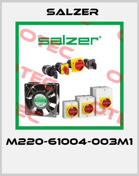 M220-61004-003M1  Salzer