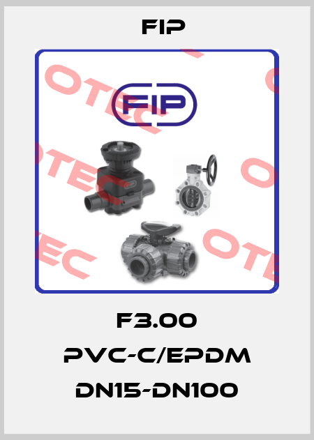 F3.00 PVC-C/EPDM DN15-DN100 Fip