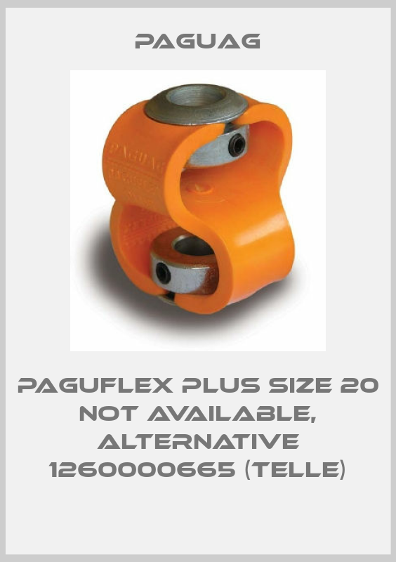 Paguflex Plus Size 20 not available, alternative 1260000665 (Telle)-big