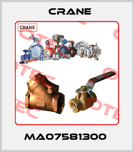 MA07581300  Crane